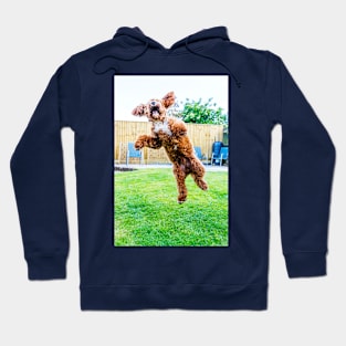 Crazy Cockapoo Puppy Hoodie